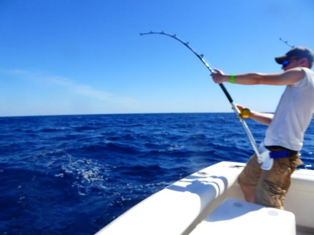 Choosing The Right Fishing Charters