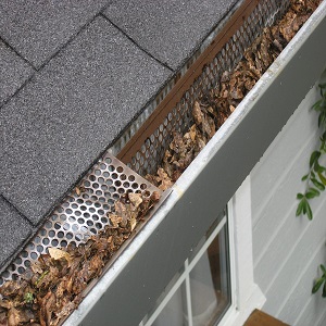 Reasons To Install Gutter Mesh